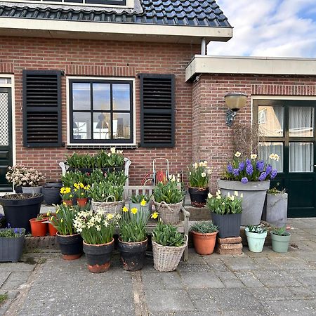 Flowerbed Voorhout エクステリア 写真