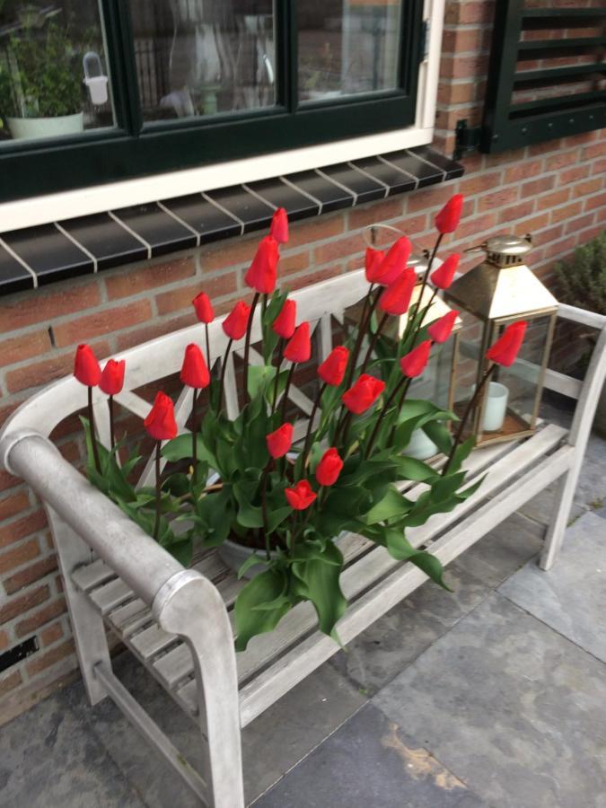 Voorhout Flowerbed Bed & Breakfast エクステリア 写真