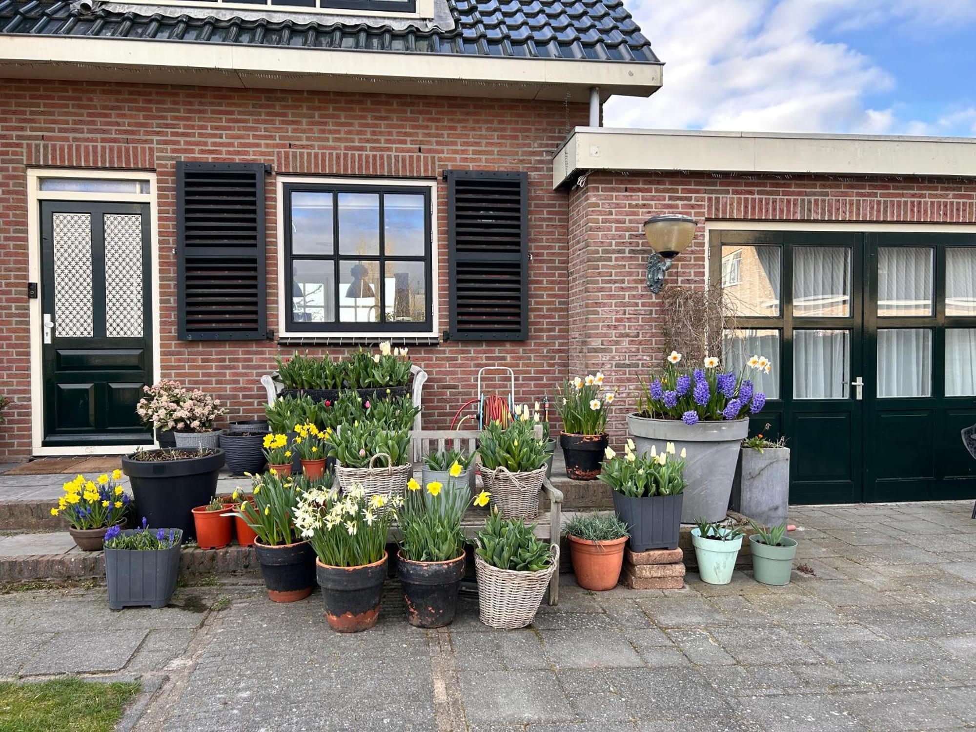 Flowerbed Voorhout エクステリア 写真