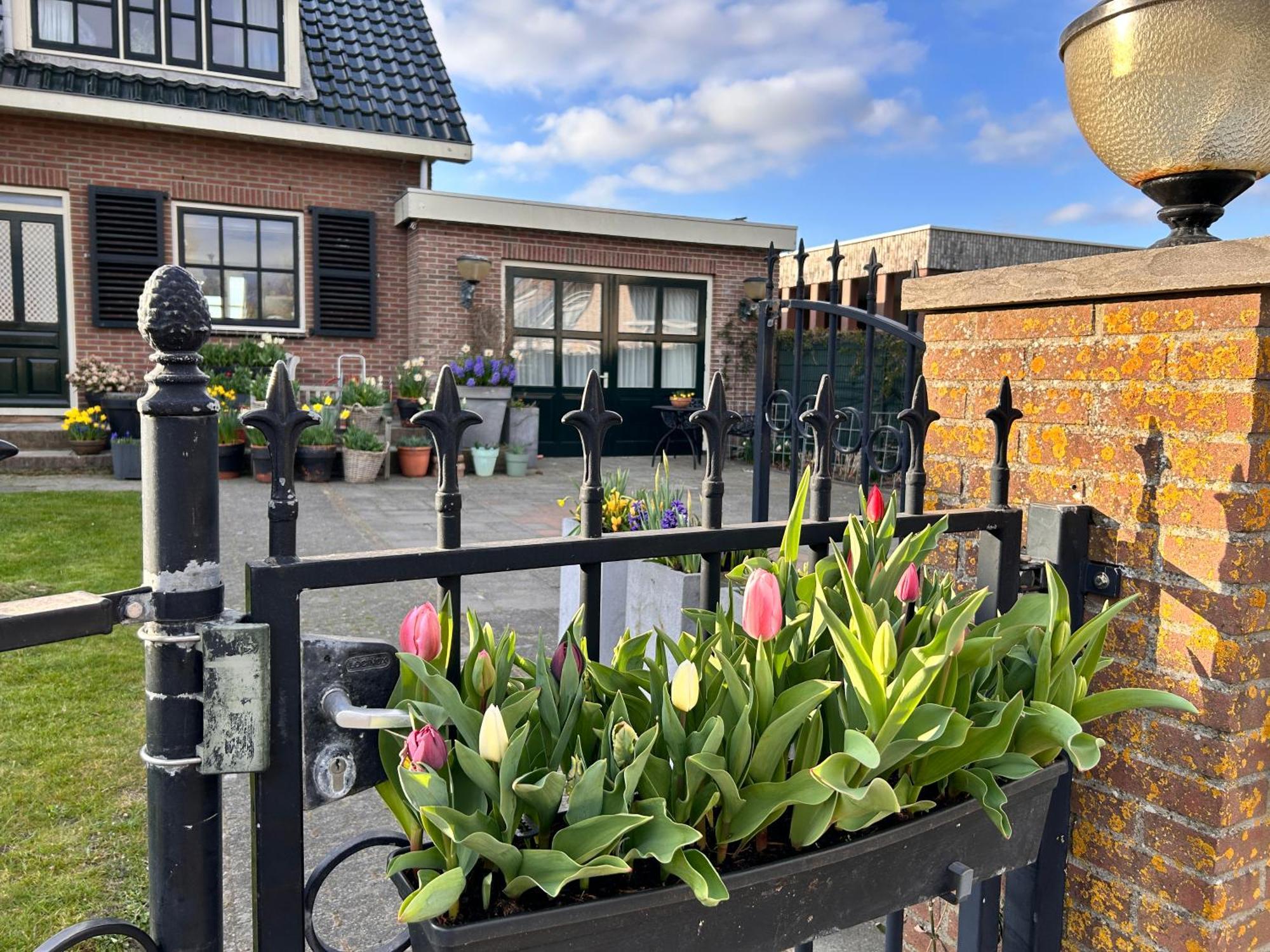 Flowerbed Voorhout エクステリア 写真